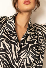 Load image into Gallery viewer, PJ Zebra