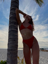 Load image into Gallery viewer, Wild Scarlet