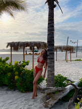 Load image into Gallery viewer, Wild Scarlet