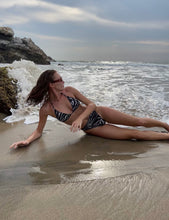 Load image into Gallery viewer, Wild Zebra